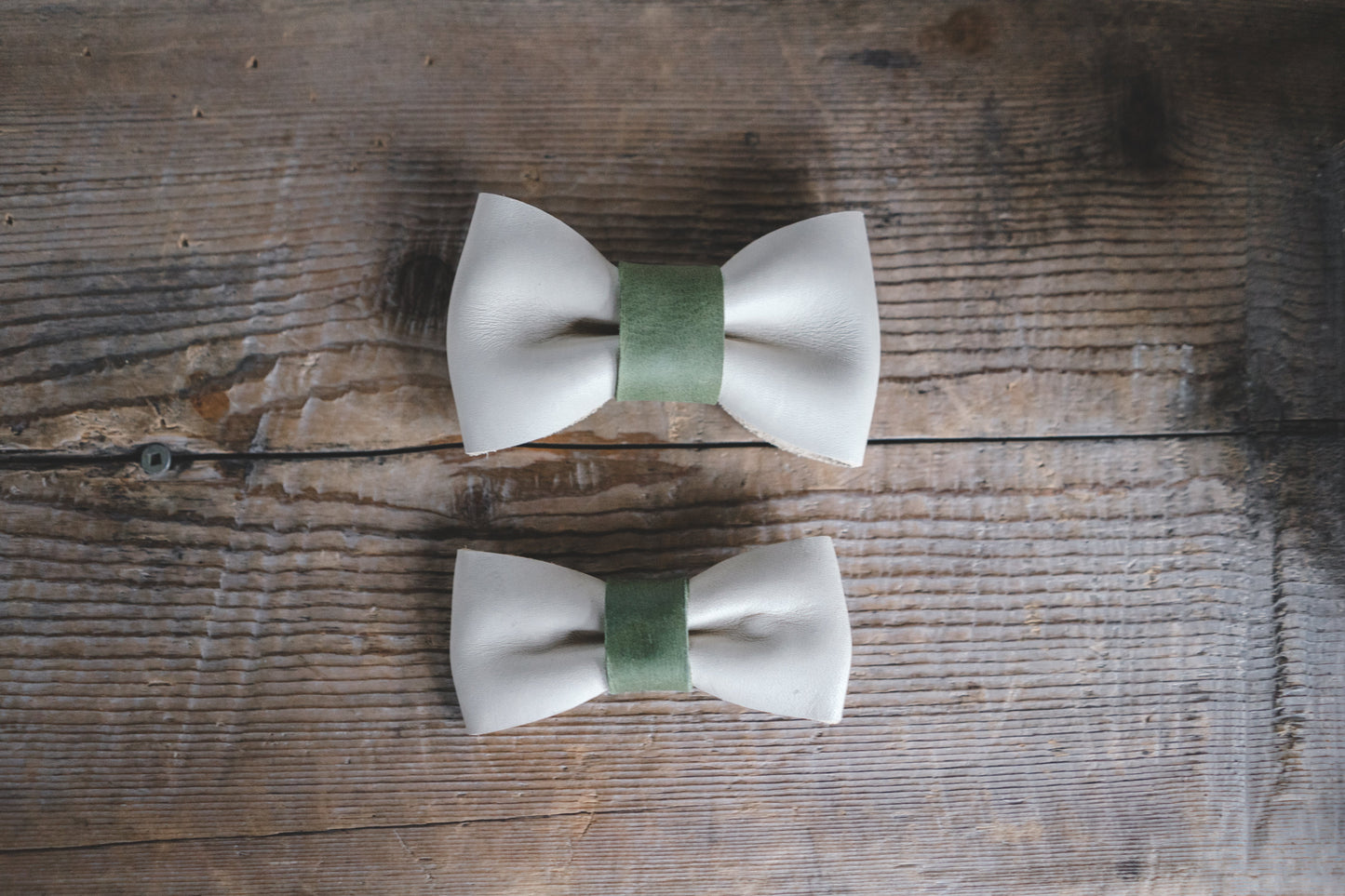 Bow Tie-1