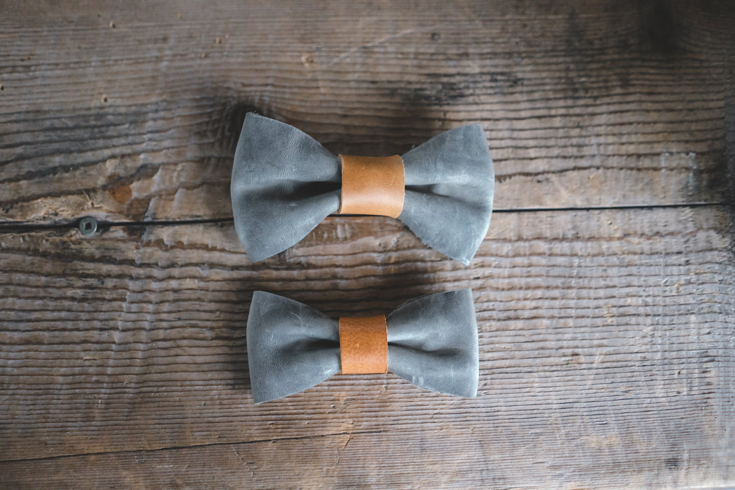 Bow Tie-0