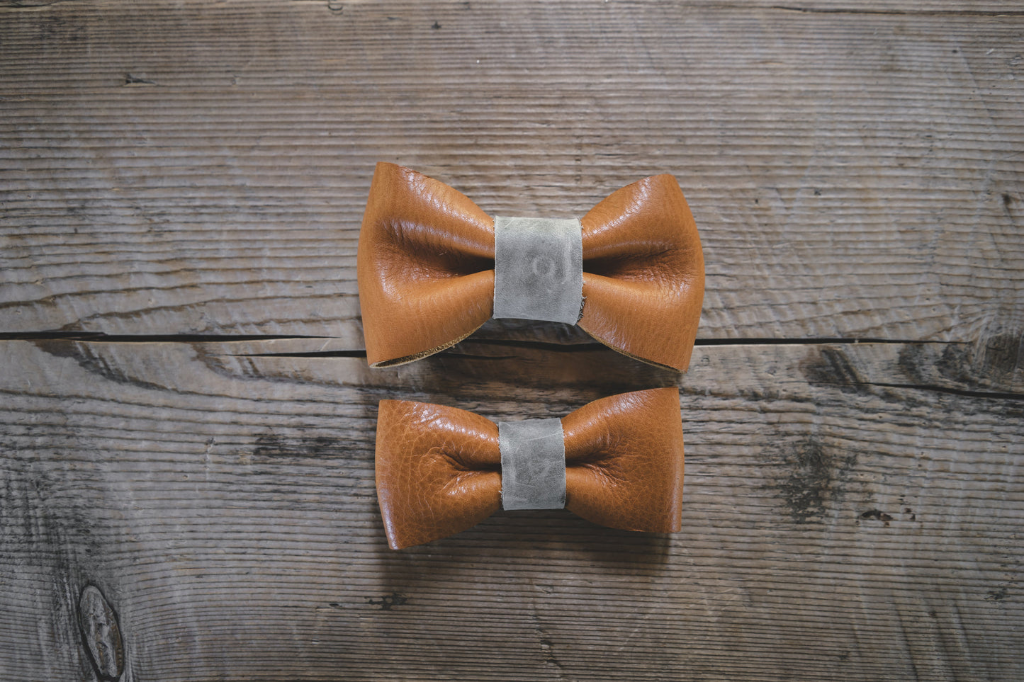 Bow Tie-2
