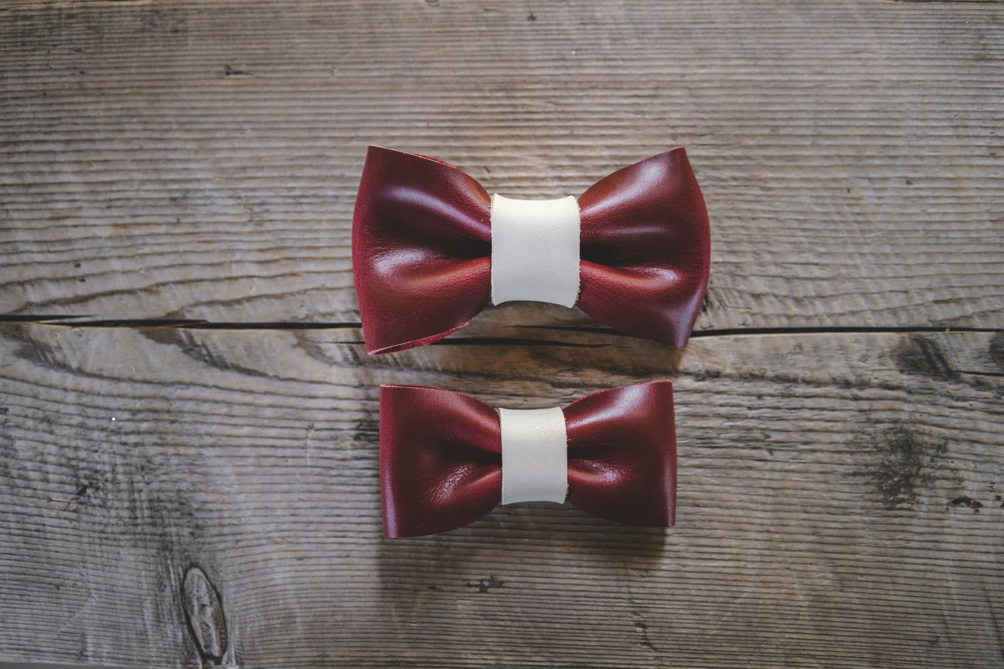 Bow Tie-4