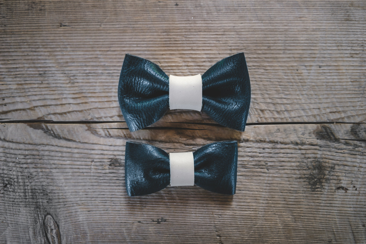 Bow Tie-5