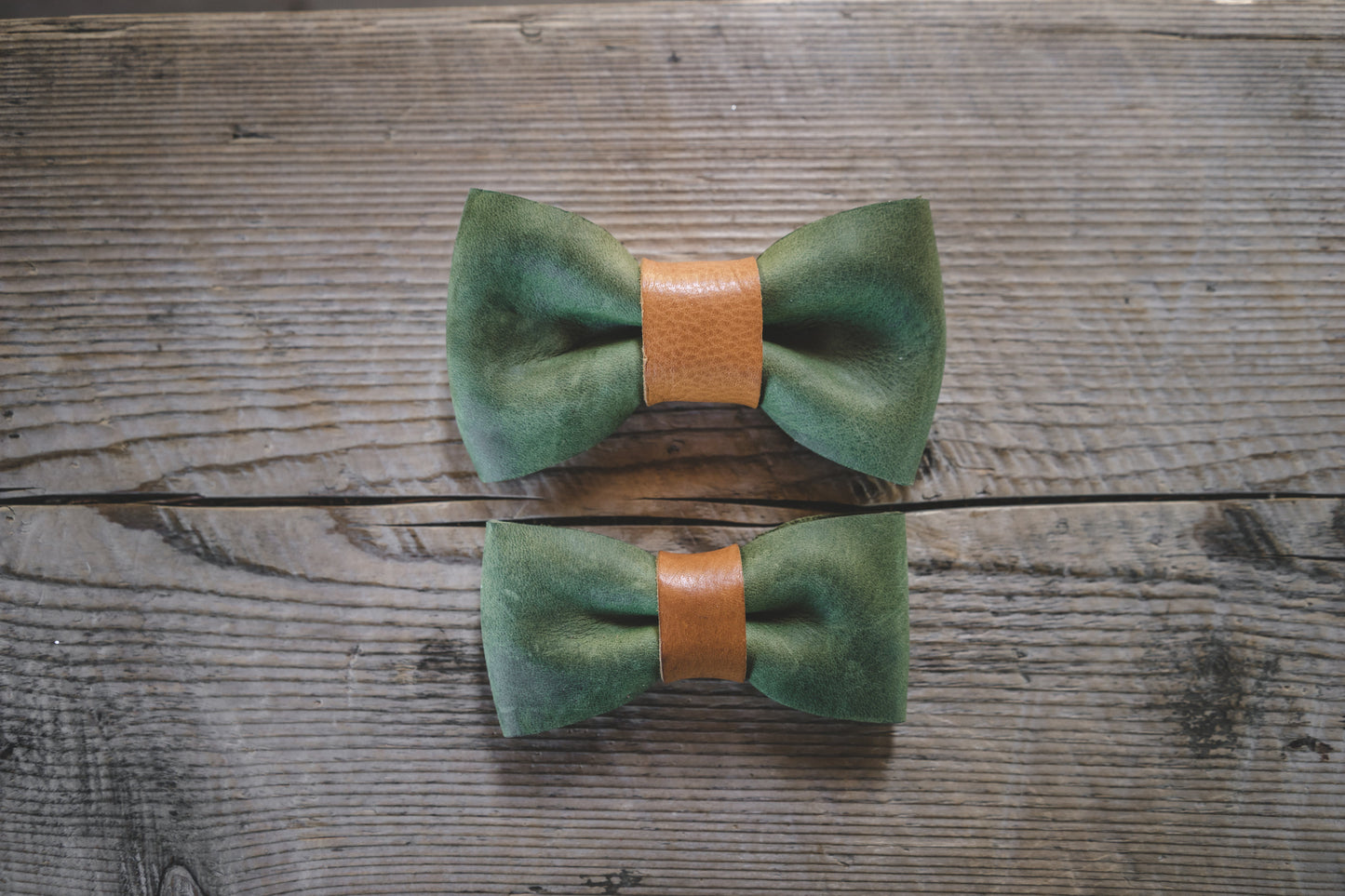 Bow Tie-3